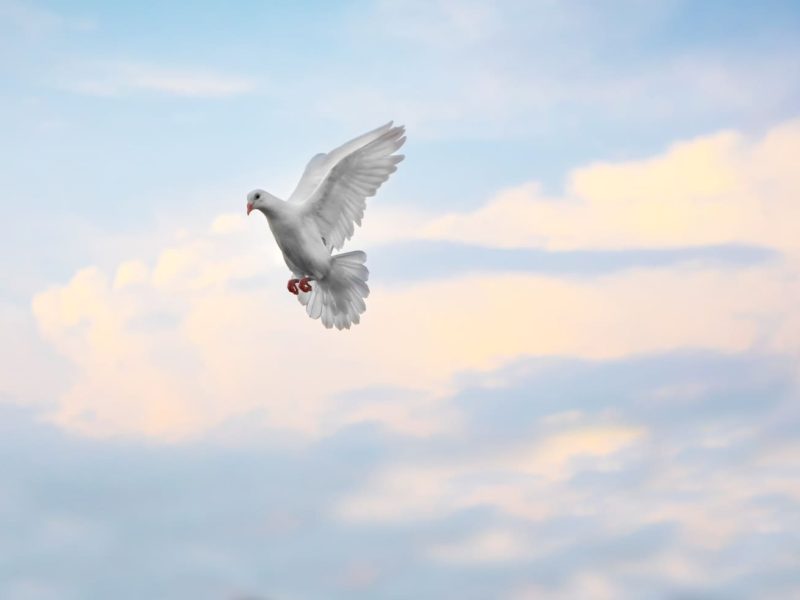 Gita - Chapter 4 Verses #27 and #28
