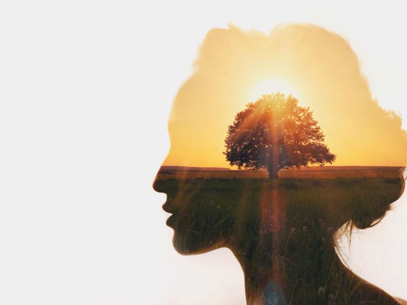 Gita - Matter and Consciousness