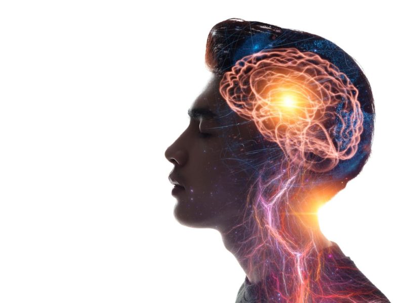 Gita - The Mind,a Description